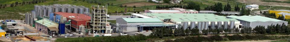 MINERVA S.A. Food Manufacturing Plant at Schimatari, Viotia