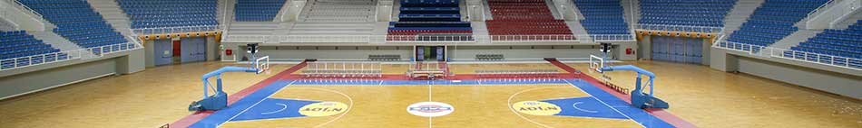 Table Tennis & Rhythmic Gymnastics Olympic Sports Hall at Galatsi, Attica